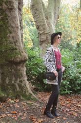 Les arbres, mon blog et moi