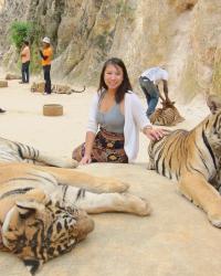 Thailand:  Tigers and the Floating Markets