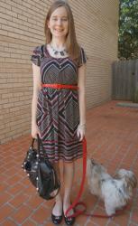 Printed Dress, Red Belt, Balenciaga Part Time | Threadless Tee, Black Skirt, Sarah Conners Python Bag