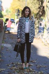 Zebra coat