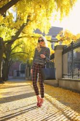 fall mix