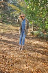 fall walk