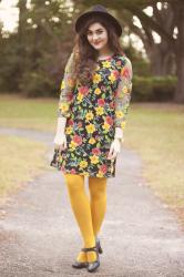 Bright + Bold