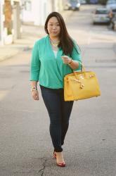 Green Wrap top and Soleil Birkin