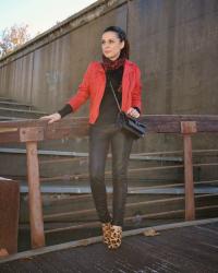rojo y leopardo