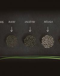 Un moment caviar avec Kaviari // Giveaway