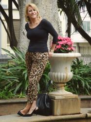 Leopard for Sunday
