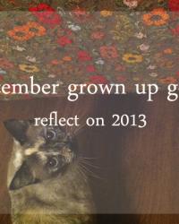 grown up goal: december + thoughts on 2014
