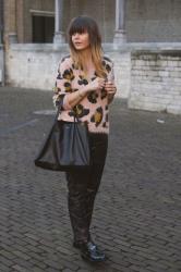 SOFT LEOPARD