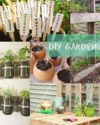 Pinspiration | DIY Gardening