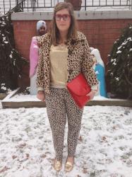 snow leopard overkill