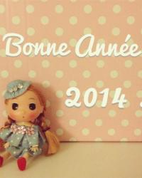 Bonne année 2014 ! Mieux vaut tard que jamais ;)