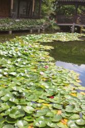 Travel | Lan Su Chinese Garden-Portland, Oregon