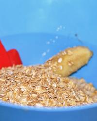 Recipe Tuesday: Healthy breakfast oatmeal muffins