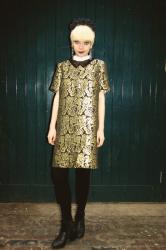 Golden Brocade