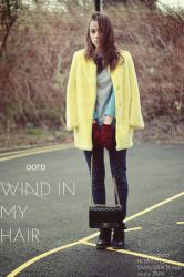 WIND IN MY HAIR