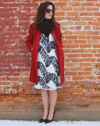 Anthropologie Equus Zebra Dress & Banana Republic 