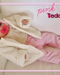 Pink Teddy Bear
