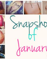 Snapshots of the month : January