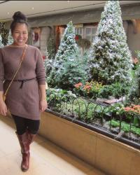 Chicago Botanical Gardens