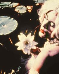 Sunday Cinema: Jack Smith's "Normal Love"
