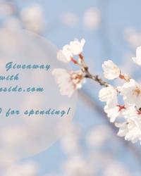 Spring Giveaway with SheInside. Win $ 100 for spending!