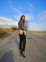 fox shoulder bag & striped sweater