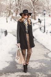 Leopard & Snow