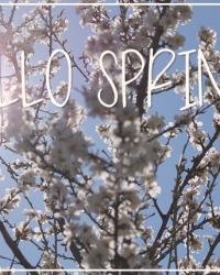 HELLO SPRING!