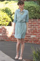 Chambray Dress