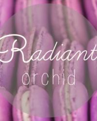 Trend alert: Radiant orchid
