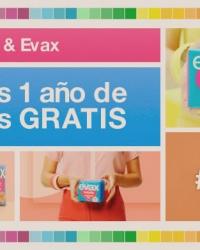 Winner EvaxMini.