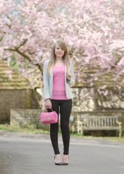 Under The Pretty Pink Blossom Tree