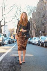 Yellow and Leopard