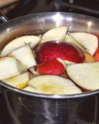 Recipe Tuesday: Baby food- apples and carrots