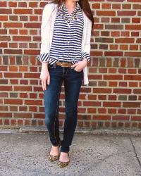 Leopard + Stripes