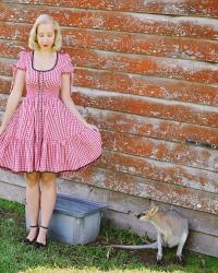 Kangaroos and a Patio Dress!