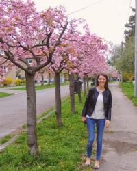 blossom trees