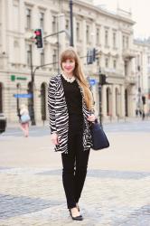 Zebra w miejskiej dżungli