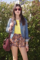 Shorts Cachemir