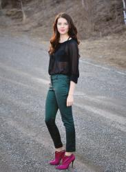 A Sheer Blouse and Fancy Pants