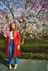 HANAMI: Japanese Cherry Blossom