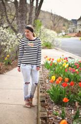 Stripes & Tulips