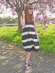 Cherry blossoms & Striped dresses