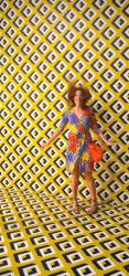 JOURNEY OF A DRESS
