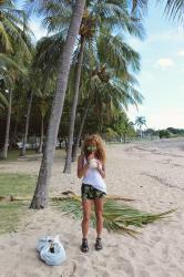 Coconuts & Palms
