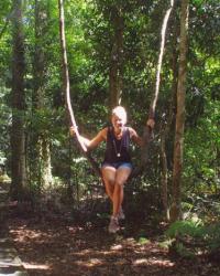 Dorrigo, au cœur de la "Rainforest"