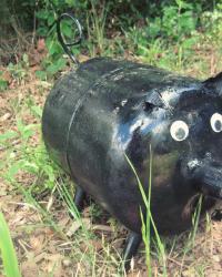 Porky the Prize Pig