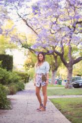 Jacaranda