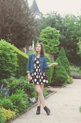 Dots, Spots, and Cat Ears